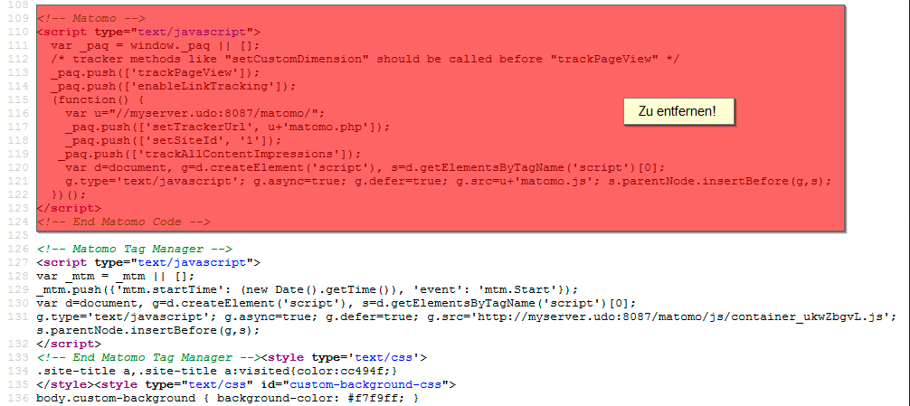 Bild 2: Möchte man dem Matomo Tag Manager tracken, darf das JavaScript-Snippet vom herkömmlichen Tracking nicht mehr im HTML der zu trackenden Webseite stehen. Es darf nur das Script des Matomo Tag Managers im HTML stehen