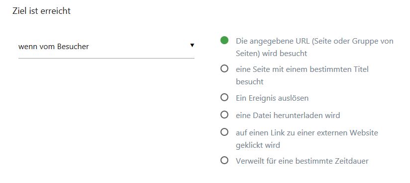 Screenshot: Matomo Auslöser für ein Ziel