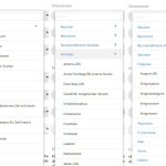 Screenshot custom report matomo dimension