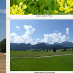 Matomo Screenshot Seiten Overlay