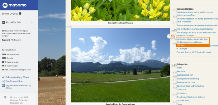 Matomo Screenshot Seiten Overlay