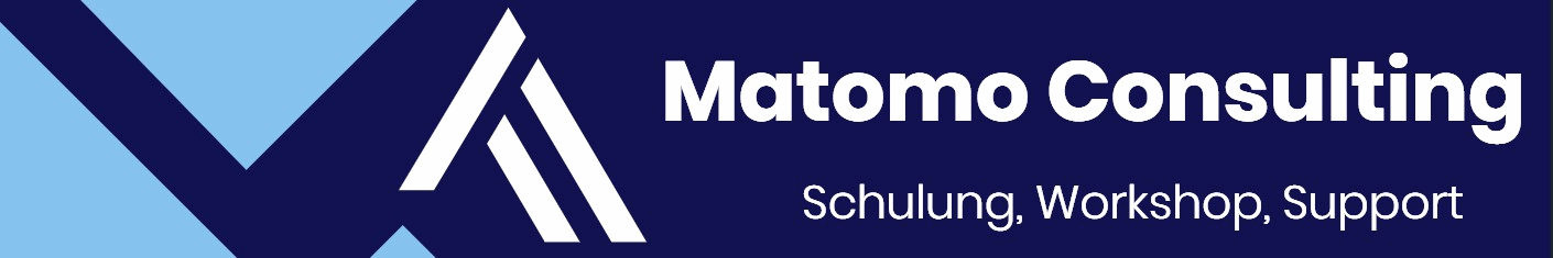 Matomo Consulting Schulung, Workshop, Support