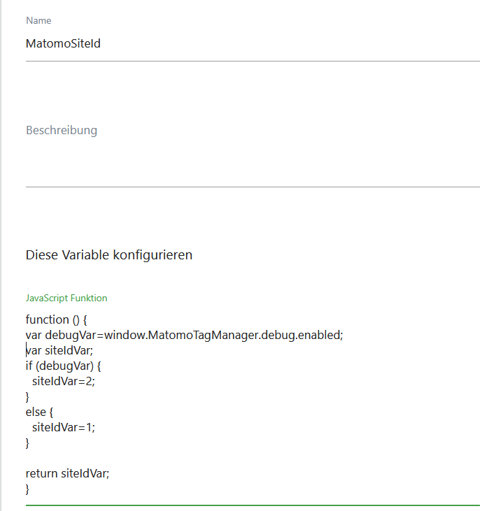 Screenshot Matomo Tag Manager - Skript Code