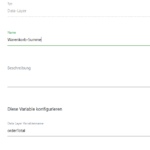 Matomo Tag Manager Datalayer
