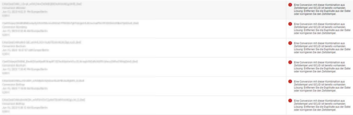 Matomo Conversion Export Google Screenshot