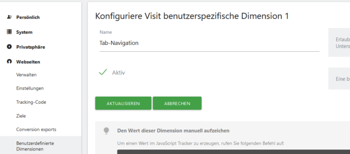 Screenshot Matomo benutzerdefinierte Dimension