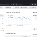 Screenshot Matomo Dashboard ohne Login
