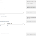 Screenshot Matomo Tag Manager Custom Dimension