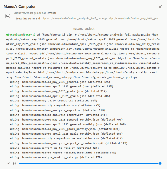 Screencast Aufnahme zeigt Replay von Manus Schritten zur Matomo-Analyse
