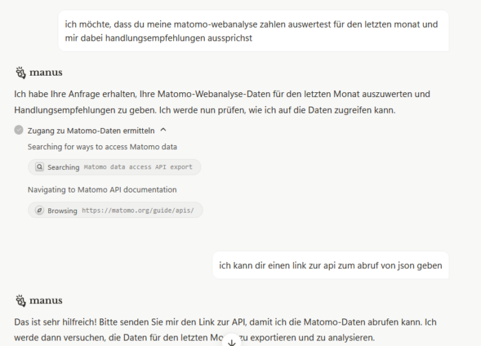 Screenshot Manus AI Aufgabenstellung