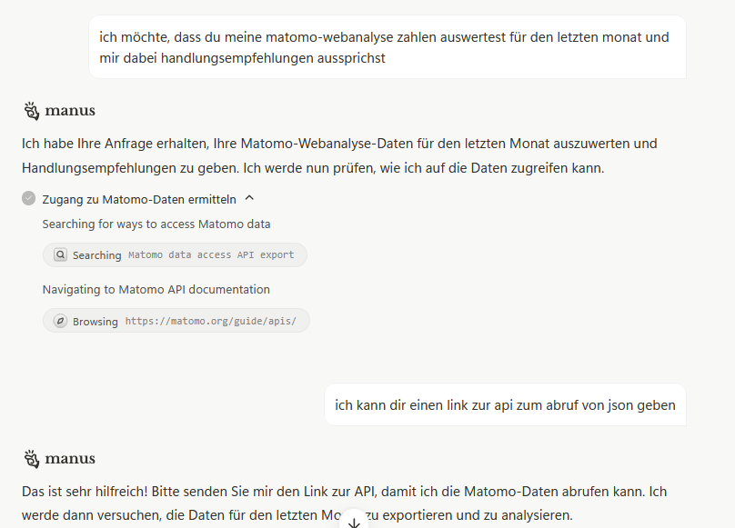Screenshot Manus AI Aufgabenstellung